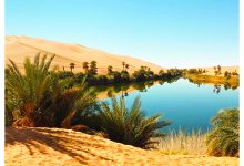 صورة المياه الجوفية والمحلاة وإنتاج الغذاء.. 3 تحديات مرتبطة بآثار التغير المناخي