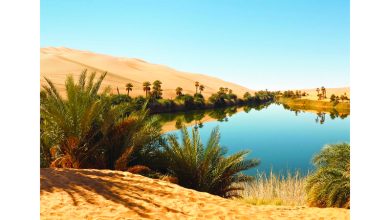 صورة المياه الجوفية والمحلاة وإنتاج الغذاء.. 3 تحديات مرتبطة بآثار التغير المناخي