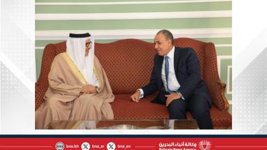 صورة وزير الخارجية يجتمع مع وزير الخارجية والهجرة وشؤون المصريين بالخارج في جمهورية مصر العربية