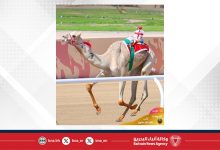 صورة “الشاهينية” و”صمصام” يبصمان على تألق الهجن البحرينية في مهرجان ولي العهد السعودي