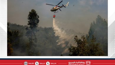 صورة البرتغال تسيطر على حريق غابات ضخم ساعدت الأمطار في إخماده