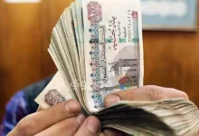 صورة أسعار الفائدة تنخفض 5.25% منذ بداية العام.. كيف يتأثر قطاع التأمين؟