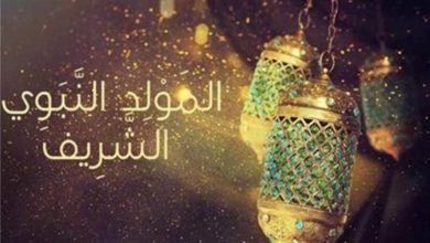 صورة في يوم مولده.. سيرة النبي صلى الله عليه وسلم في 20 نقطة مختصرة