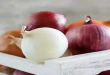 صورة لماذا يُعد البصل غذاءً خارقًا لجسمك؟
