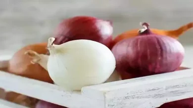 صورة لماذا يُعد البصل غذاءً خارقًا لجسمك؟