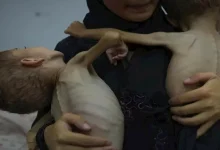صورة فنانون يتعهدون بمقاطعة مؤسسات إسرائيل السينمائية بسبب الأزمة الإنسان