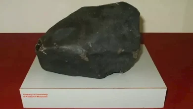 صورة بعد 71 عاما.. 10 صور لأول نيزك يصيب إنسانا على الأرض