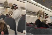 صورة مسافر يثير الجدل باصطحاب 5 صقور على متن طائرة ركاب (فيديو)