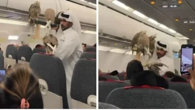 صورة مسافر يثير الجدل باصطحاب 5 صقور على متن طائرة ركاب (فيديو)