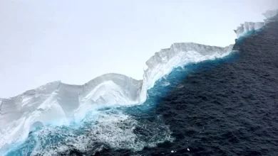 صورة بعد عقود من العزلة.. ذوبان أكبر جبل جليدي في العالم