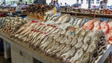 صورة 83 جنيها لكيلو البلطي.. أسعار الأسماك في سوق العبور 4-9-2025