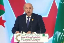 صورة منها الاستثمار والتجارة.. الرئيس الجزائري يتحدث عن 4 تحديات تواجه الدو