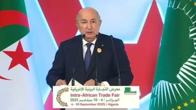 صورة منها الاستثمار والتجارة.. الرئيس الجزائري يتحدث عن 4 تحديات تواجه الدو