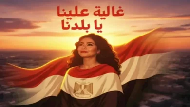 صورة شيرين عبدالوهاب تجهز مفاجأة لجمهورها.. تعرف عليها
