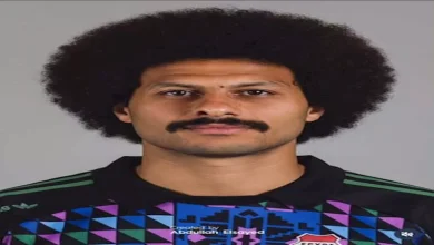 صورة “بملامح حقبة مختلفة”.. 10 صور لنجوم منتخب مصر في التسعينيات
