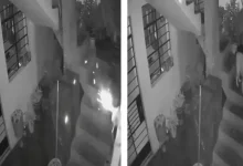 صورة “الحيوان البطل”.. كلبة تنقذ عائلة من انفجار منزل بطريقة ذكية (فيديو)