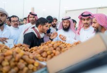 صورة تمور القصيم نافذة إلى أسواق العالم.. الإيرادات تخطت 3.2 مليار ريال  أخبار السعودية