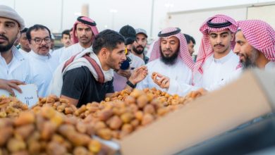 صورة تمور القصيم نافذة إلى أسواق العالم.. الإيرادات تخطت 3.2 مليار ريال  أخبار السعودية