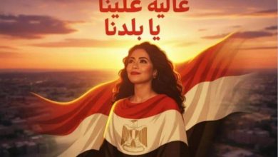 صورة شيرين عبدالوهاب تحسم شائعات الاعتزال بأغنية وطنية جديدة  أخبار السعودية