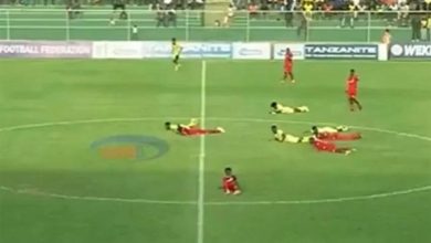 صورة سرب «نحل» يقتحم ملعباً في تنزانيا.. ويوقف مباراة كرة قدم  أخبار السعودية