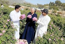 صورة السائحة «شيلا» الشغوفة بالطائف.. على خطى «شابانا» وزيرة داخلية بريطانيا  أخبار السعودية