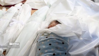 صورة يقتلون طفلاً كل ساعة.. منظمة عالمية تنشر إحصائية مفجعة عن عدد الأطفال ممن اغتالتهم إسرائيل في غزة