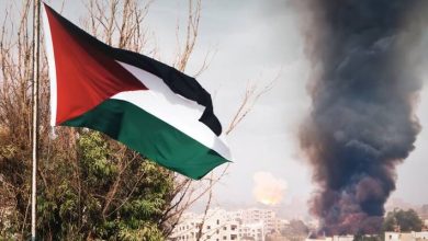 صورة | بلجيكا: سنعترف بدولة فلسطين ونؤيد تعليق التعاون الأوروبي مع الاحتلال