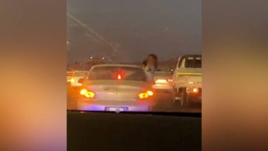 صورة | أطفال يخرجون أجسامهم من نوافذ مركبة في الزرقاء.. فيديو