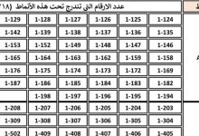 صورة | “الترخيص” تطرح 218 رقم سيارة ثلاثيًا مميزًا للبيع المباشر إلكترونيًا الأحد
