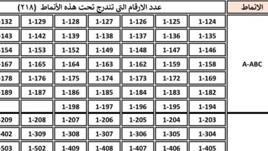 صورة | “الترخيص” تطرح 218 رقم سيارة ثلاثيًا مميزًا للبيع المباشر إلكترونيًا الأحد
