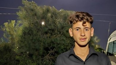 صورة | فقدان الطفل محمد النعيمات منذ يومين في معان.. والأهل يواصلون البحث
