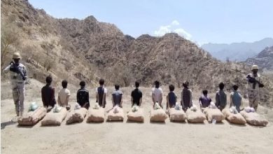 صورة ضبط 12 مخالفًا لنظام أمن الحدود لتهريبهم 206 كيلوجرامات من القات بمنطقة جازان