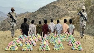 صورة القبض على 8 مخالفين لنظام أمن الحدود لتهريبهم 154 كيلوجرامًا من القات بعسير