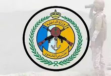 صورة إحباط تهريب 165,000 قرص خاضع لتنظيم التداول الطبي بجازان