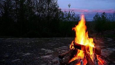 صورة ضبط مواطنة مخالفة لنظام البيئة في محمية الإمام فيصل بن تركي الملكية