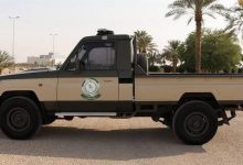 صورة إحباط تهريب 83.150 قرصًا خاضعًا لتنظيم التداول الطبي في جازان
