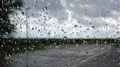 صورة “الأرصاد” يُنبّه من أمطار على محافظتي الليث والعرضيات ورياح نشطة على نجران