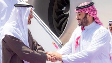 صورة رئيس الإمارات يصل إلى الرياض وولي العهد في مقدمة مستقبليه