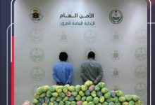 صورة مرور عسير يقبض على مقيمين لترويجهما 20 كيلوجرامًا من القات