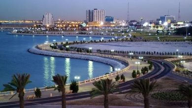 صورة لماذا يتزايد الاستثمار الأجنبي في المنطقة الشرقية؟.. أكاديمي يوضح