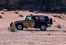 صورة ضبط مواطن مخالف لنظام البيئة لاستغلاله الرواسب في منطقة المدينة المنورة