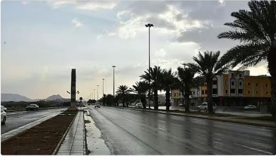 صورة طقس المملكة الثلاثاء.. فرصة لهطول أمطار رعدية ورياح نشطة على عدة مناطق