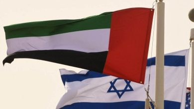 صورة الإمارات تدعم مصر وتدين تصريحات نتنياهو بشأن تهجير الفلسطينيين