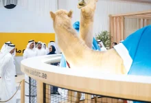 صورة ذياب بن محمد بن زايد يتفقد النسخة الـ22 من معرض أبوظبي الدولي للصيد والفروسية