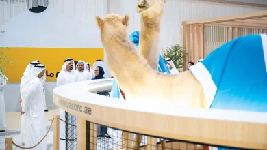 صورة ذياب بن محمد بن زايد يتفقد النسخة الـ22 من معرض أبوظبي الدولي للصيد والفروسية