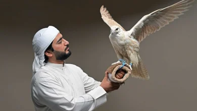 صورة أنشطة متنوعة في اليوم الثامن لمعرض أبوظبي للصيد والفروسية