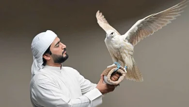 صورة أبوظبي تنهي فعاليات «الصيد والفروسية 2025» بنجاح استثنائي